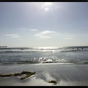 Meet your Posher, Chrissy